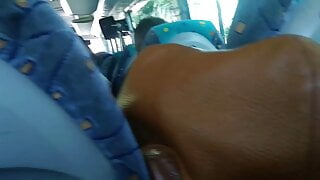 Young Student Sucks My Cock On The Bus!